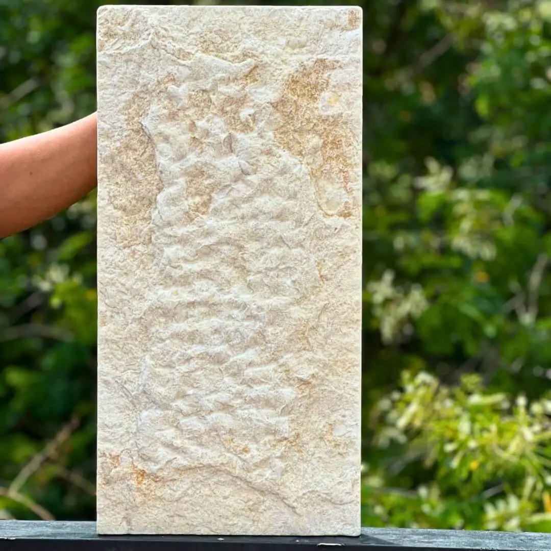 Travertino Imperial Importado - 30cm x 60cm - Image 3